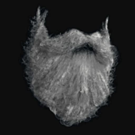 Santa Beard