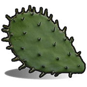 Cactus Flesh