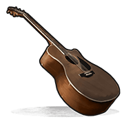 Acoustic Guitar