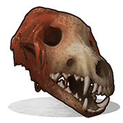 Wolf Skull