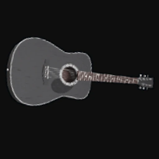 Black Acoustic Guitar