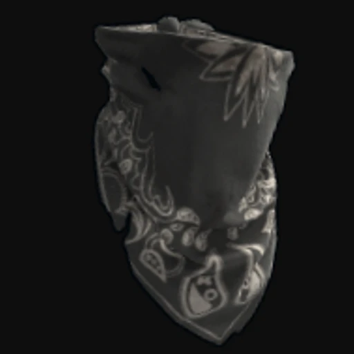 Black Bandana