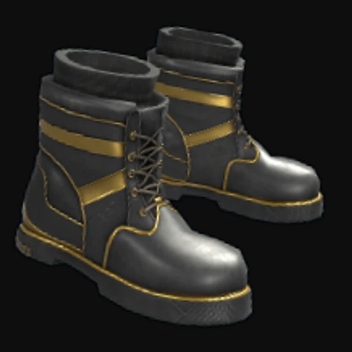 Black Gold Boots