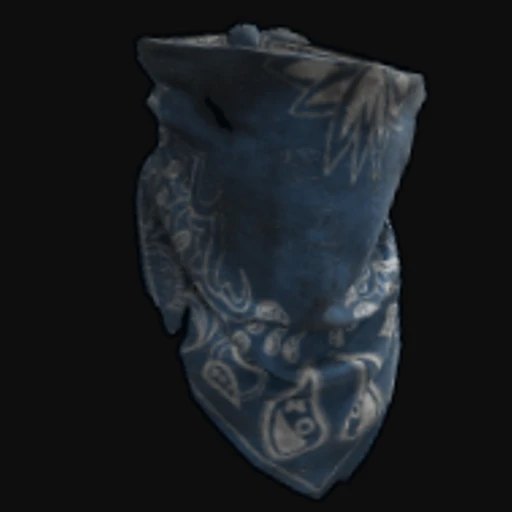Blue Bandana