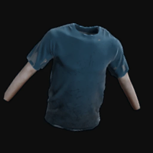 Blue Tshirt