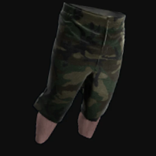 Camo Shorts