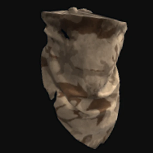Desert Camo Bandana