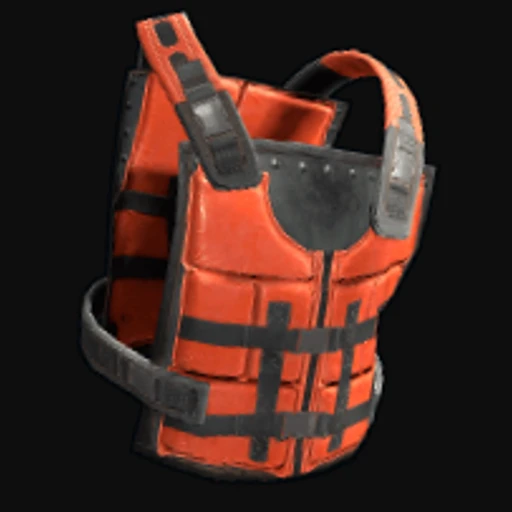 Kayak Vest