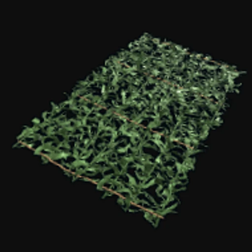 Kelp Rug