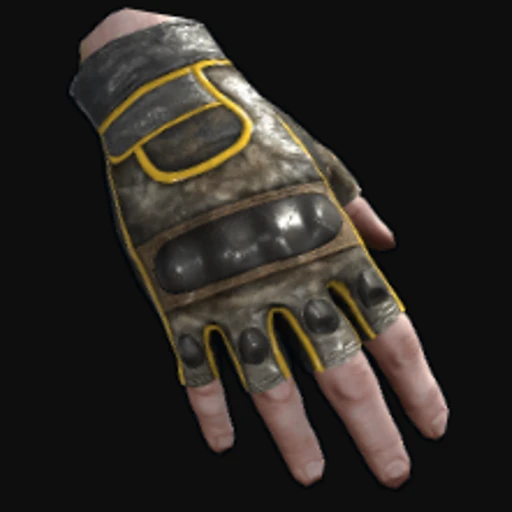 Motorcycle Gloves