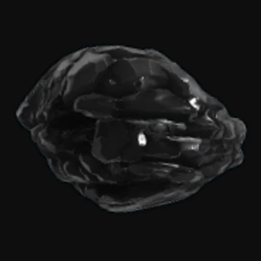Polished Obsidian