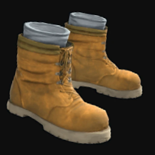 Tan Boots