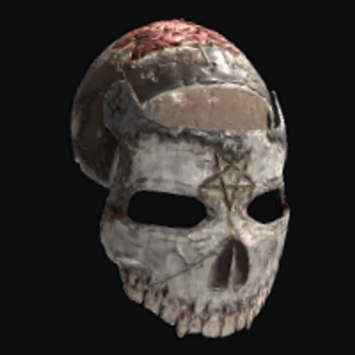 The Awakened Facemask