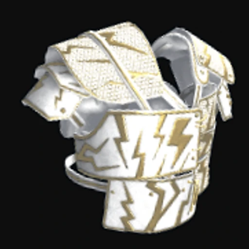 Thundergold Roadsign Vest