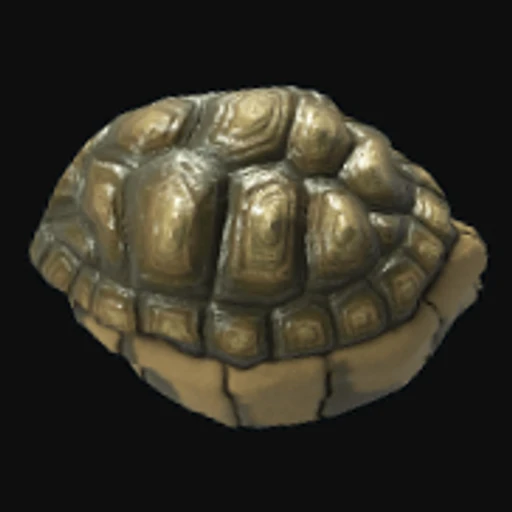 Tortoise Rock